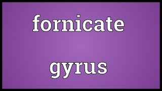 Fornicate gyrus Meaning [upl. by Lennard]