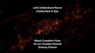 Nerve Impulse Conduction in Eye 3d Animation  Neurons of Eye Animation Video 3danimation [upl. by Alisun]