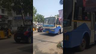 TN govt TNSTC Bus mass entry TN private Bus horn sound bus hornsound tnstc thoothukudi [upl. by Aiht349]