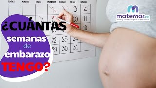 ¿Cómo calcular cuántas semanas de embarazo tengo  Maternarco [upl. by Iturk336]