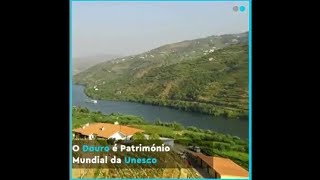 Douro Até ao lavar dos cestos há que desfrutar [upl. by Amand]