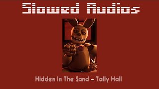 Hidden In The Sand  Tally Hall  Slowed and Echoed [upl. by Ynos155]