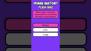 Human Anatomy Flash Quiz 24 flashquiz quiz english [upl. by Katherin]