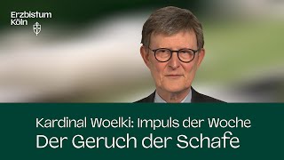 Impuls der Woche  Der Geruch der Schafe 05 Oktober 2024 [upl. by Roddy]