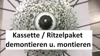 Shimano Kassette  Ritzelpaket wechseln  demontieren und montieren [upl. by Gabbi]