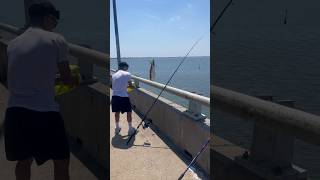 NY FishingampHunting fishing hunting nyc saltwaterfishing upstateny ny queensny creek hiphop [upl. by Adnahsam]