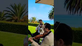 Enchanted Taylor Swift  Enchanted String Quartet in Malibu taylorswift wedding [upl. by Nalek546]