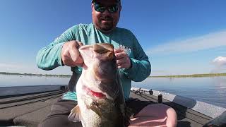 Lake Okeechobee March 31st 2024 froggin at sunrise [upl. by Trueblood]