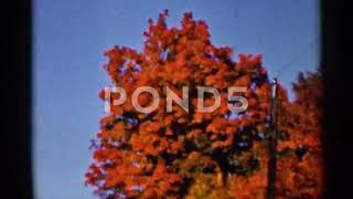 Nostalgia Alert Relive the Golden Hues of 1966 Wauseon Ohio in Stunning 8mm Home Movies [upl. by Sukhum]