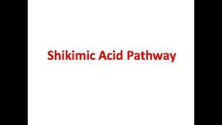 Shikimic Acid Pathway [upl. by Moreno]