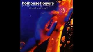 Hothouse Flowers  Stand Beside Me [upl. by Shanney]