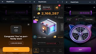 HashCats  New Feature Helps You Earn More HASH Coins Faster  Come Join Me  Telegram Crypto Bot [upl. by Secundas]