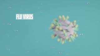 Animation Why the Flu Virus Changes and Mutates [upl. by Einwahr472]