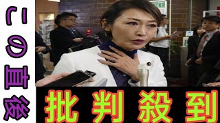 三原じゅん子氏、自民党への火炎瓶投げつ けに言及「イタリアから帰国 選挙応援が 始まる日に」 [upl. by Hoy]