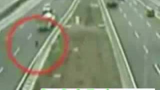 Amazing Dog Saves another Dog on Busy Highway [upl. by Llyrehc]