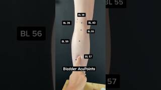 Bladder Acupuncture Points acupuncture [upl. by Lehsreh]