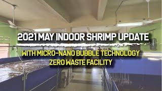 2021 May Indoor Biofloc Updates  MicroNanoBubble Generators  Zero Waste Facility [upl. by Boote637]