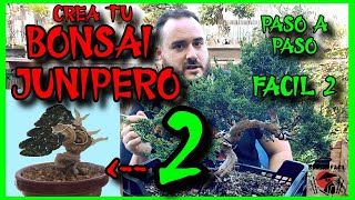 COMO HACER BONSAI JUNIPERO  FACIL 2 [upl. by Nelie903]