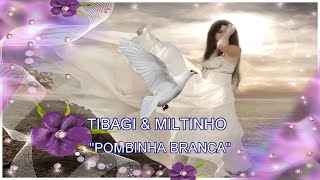 Pombinha Branca🕊️🕊️ [upl. by Obadiah314]