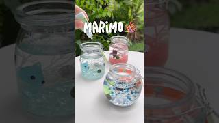 asilahchannel มาริโมะ marimo รีวิวของเล่น [upl. by Mays]