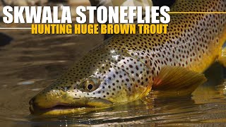 Fly Fishing Huge Brown Trout During the Skwala Stonefly Hatch Early Season Rising Brown Trout [upl. by Suoiradal]