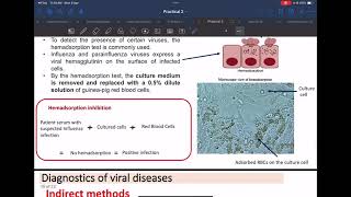 Microbiology Lab 1 amp Lab 2 Part 2 [upl. by Manella]