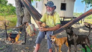 ISOLADO na SELVA SEM ENERGIA VIVENDO COM ANIMAIS EM SUA CASA SOZINHO na FLORESTA AMAZÔNICA [upl. by Anilra]