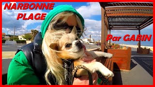 VISITE NARBONNE PLAGE par GABIN VOILIER JOHNNY SUN ODYSSEY 292 CLABI JOJO [upl. by Eilema137]