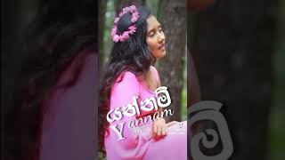 යන්නම් Yannam  Paramee Dileka  Music video trailer [upl. by Ahsiekat]