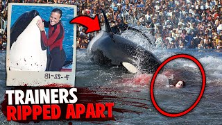 This Killer Orca DISMEMBERED 3 People In Front of Audience At Seaworld [upl. by Tallu]