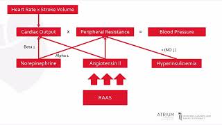 A Focus Series on Hypertension Pathophysiology [upl. by Zubkoff]