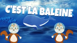 Cest la baleine  Comptines pour enfants  Comptines pour bébés [upl. by Dlaregztif]