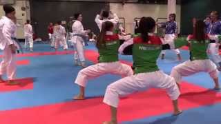 Teams warming up before the kata competition  2014 World Karate Championships [upl. by Brietta]