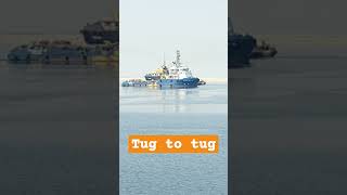 TUGS shortvideo sealife sea ship [upl. by Eenafets]