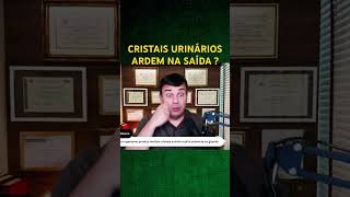 Cristais na Urina x Ardência Genital  shorts [upl. by Nivlak]