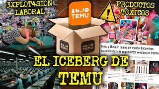 EL LADO TURBIO DE TEMU  EL ICEBERG DE TEMU [upl. by Burnsed998]