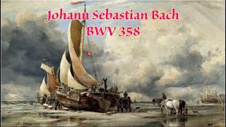 Johann Sebastian Bach  BWV 358 Choral Jesu meine Freude in D minor [upl. by Hashim738]