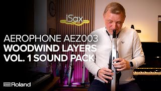 Roland Aerophone AEZ003 Woodwind Layers Vol 1 Sound Examples [upl. by Epilef733]