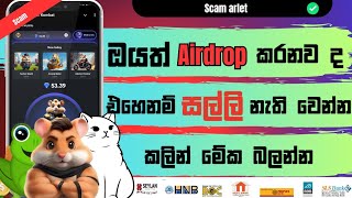 Airdrop Scam Sinhala  Airdrop sinhala  passive income  Airdrop losses [upl. by Feola]