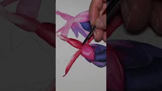 Fuchsia in Aquarell malen [upl. by Bernardi731]