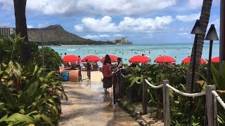 Duke’s Lunch Buffet A Walk on Waikiki Beach from the Royal Hawaiian to Duke’s デュークスのランチビュッフ [upl. by Upshaw]