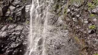 Purlingbrook Falls Springbrook National Park Springbrook Queensland Australia [upl. by Collbaith]