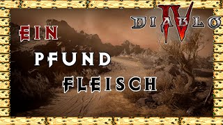 Ein Pfund Fleisch  Akt 3 Nebenquests  Trockensteppe  Diablo 4 Komplettlösung [upl. by Auqinat]