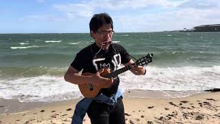 Nusaniwe tanjong Alang  Beach Session  Ukulele amp Harmonic UNPLUGGED [upl. by Annaillil]