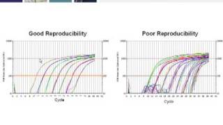 Key Steps for Generating RealTime PCR Data that Conforms to MIQE Guidelines Part 3 of 4 [upl. by Dlorah]