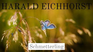 Edvard Grieg Schmetterling op 43 Nr 1 Harald Eichhorst Klavier [upl. by Nawat878]