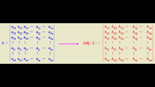 Menores complementarios y adjuntos de una matriz [upl. by Armat967]