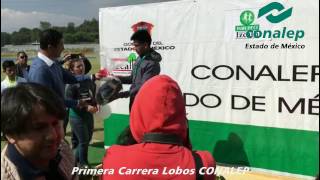 Primera Carrera Lobos CONALEP [upl. by Kreindler577]