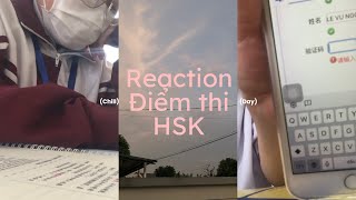 HSK REACTION  Tham gia thử kì thi HSK và kết quả bất ngờ （＾ω＾） [upl. by Neimad]