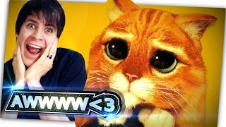 Ärger doch nicht die Katze  Zeo TaC Ep61 [upl. by Lowson465]